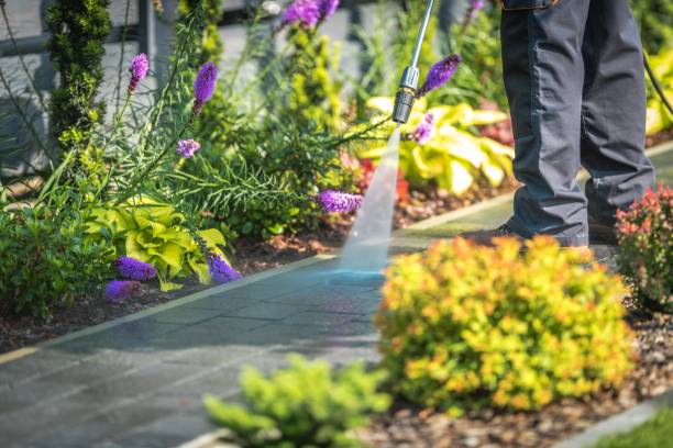 Best Gutter Cleaning  in West Wareham, MA